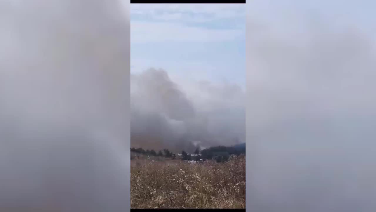 Bursa’nın Mudanya ilçesinde orman yangını çıktı.