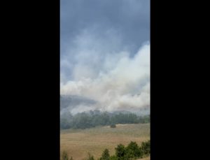 Elazığ’da orman yangınına havadan ve karadan müdahale ediliyor