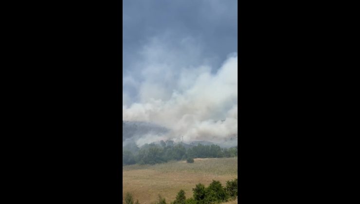 Elazığ’da orman yangınına havadan ve karadan müdahale ediliyor