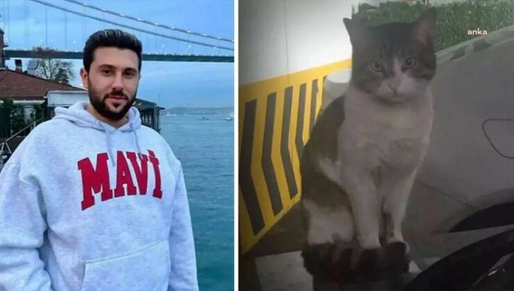 İstinaf, kedi ”Eros”u öldüren sanık İbrahim Keloğlan’ın cezasının artırılması istemini reddetti