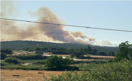 Son Dakika…. Çanakkale Biga’da orman yangını