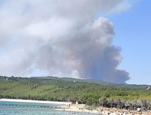 Çanakkale Boğazı’nda gemi trafiği orman yangını nedeniyle kuzey-güney tek yönde askıya alındı