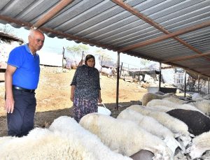 İzmir Büyükşehir’den yangından etkilenen köylerdeki çiftçilere yem desteği