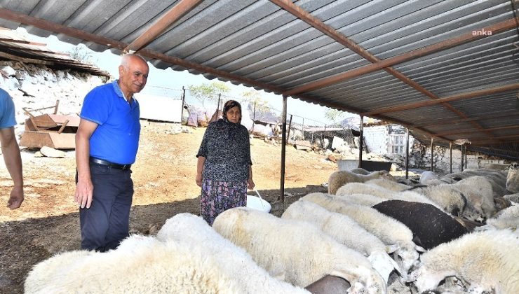 İzmir Büyükşehir’den yangından etkilenen köylerdeki çiftçilere yem desteği